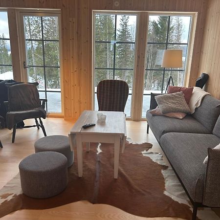 Mountain Holiday Homes - Ottsjoe, Trillevallen -Sweden オーレ エクステリア 写真