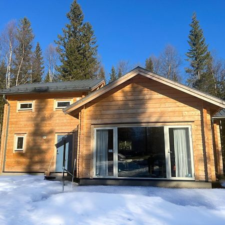 Mountain Holiday Homes - Ottsjoe, Trillevallen -Sweden オーレ エクステリア 写真