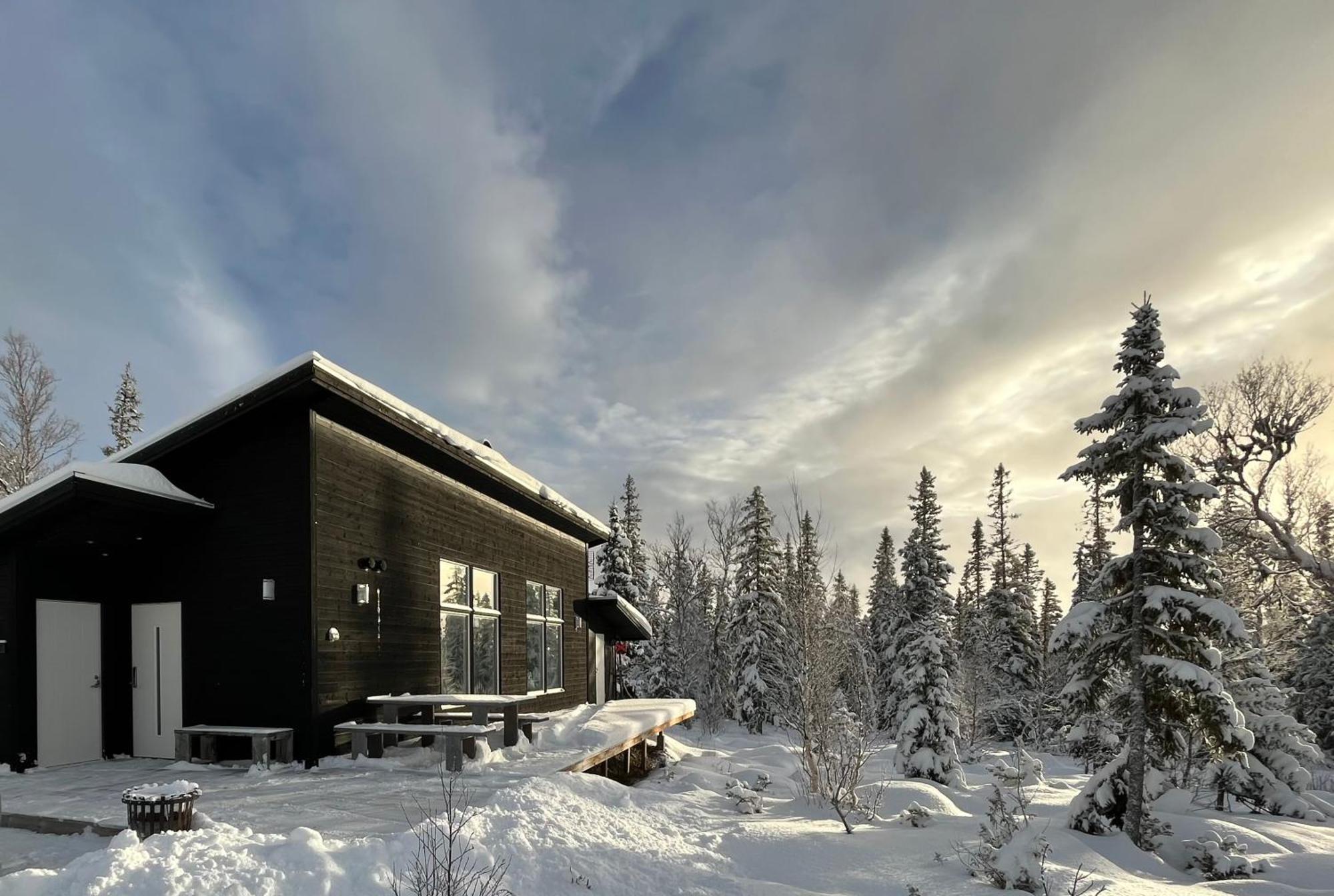Mountain Holiday Homes - Ottsjoe, Trillevallen -Sweden オーレ エクステリア 写真