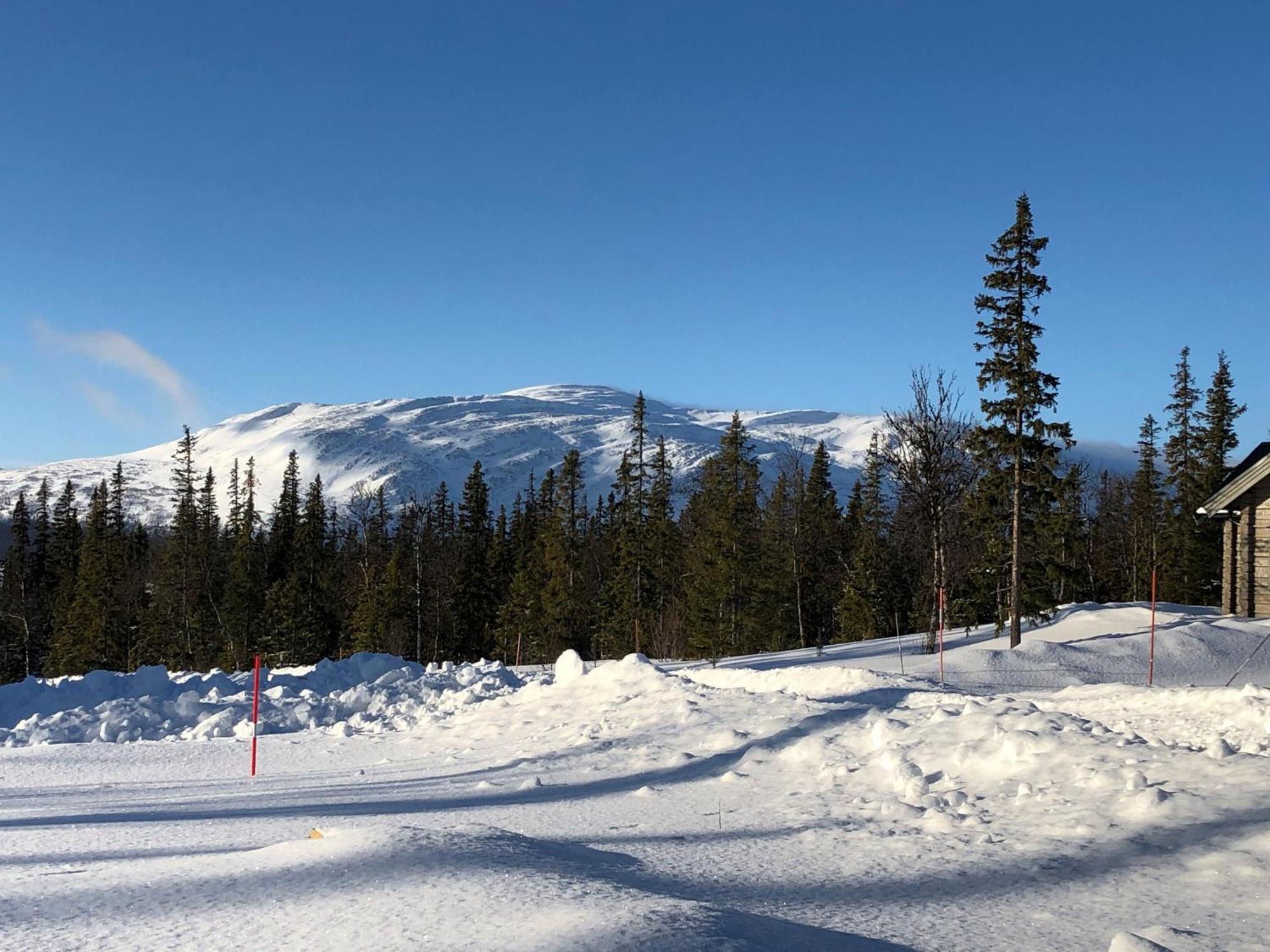 Mountain Holiday Homes - Ottsjoe, Trillevallen -Sweden オーレ エクステリア 写真