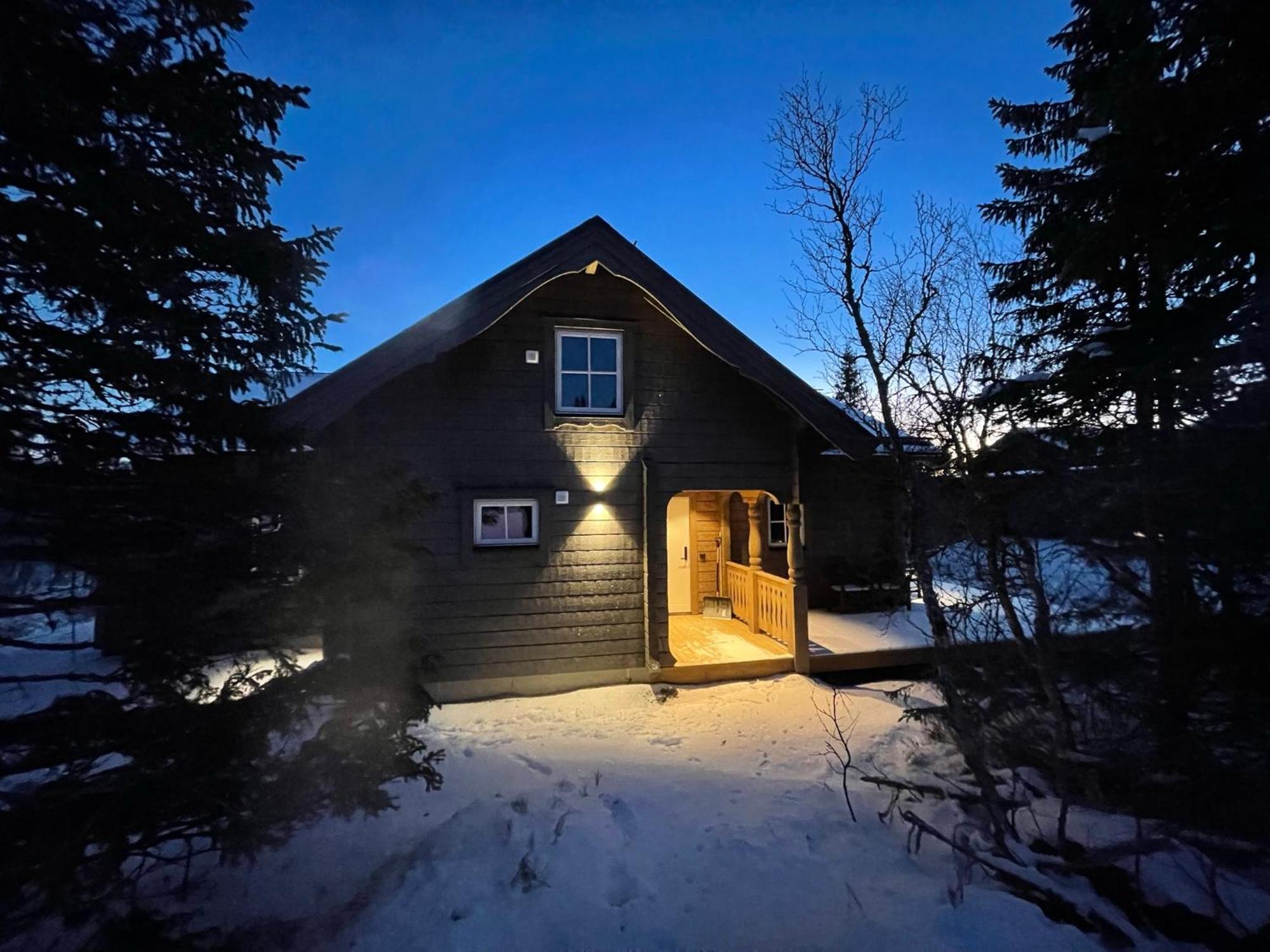Mountain Holiday Homes - Ottsjoe, Trillevallen -Sweden オーレ エクステリア 写真