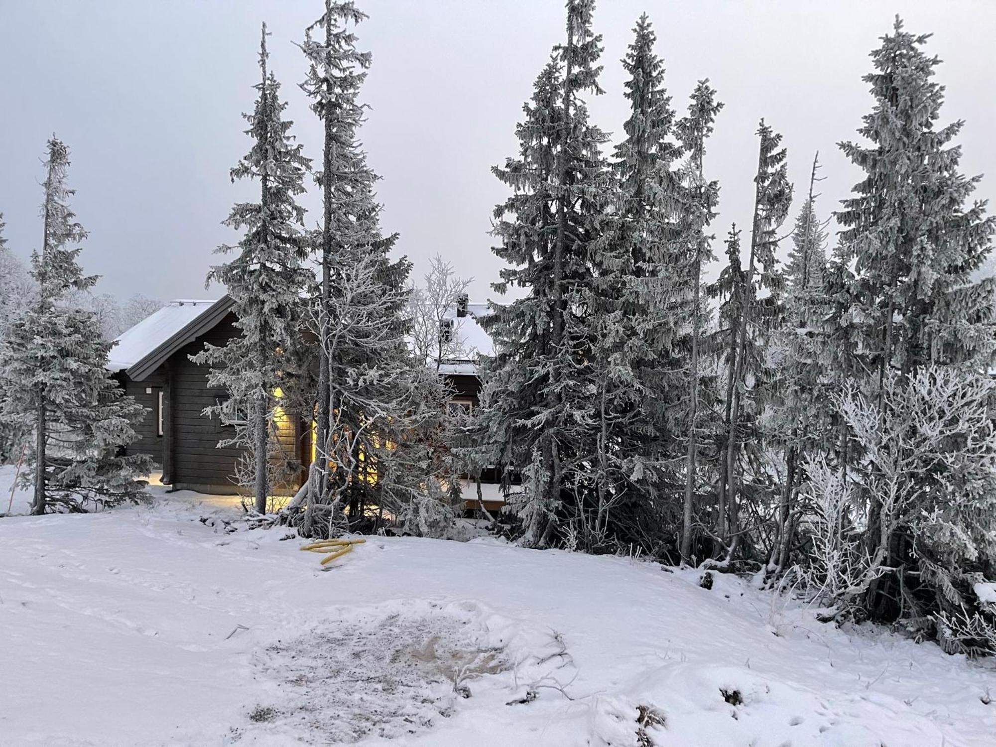 Mountain Holiday Homes - Ottsjoe, Trillevallen -Sweden オーレ 部屋 写真
