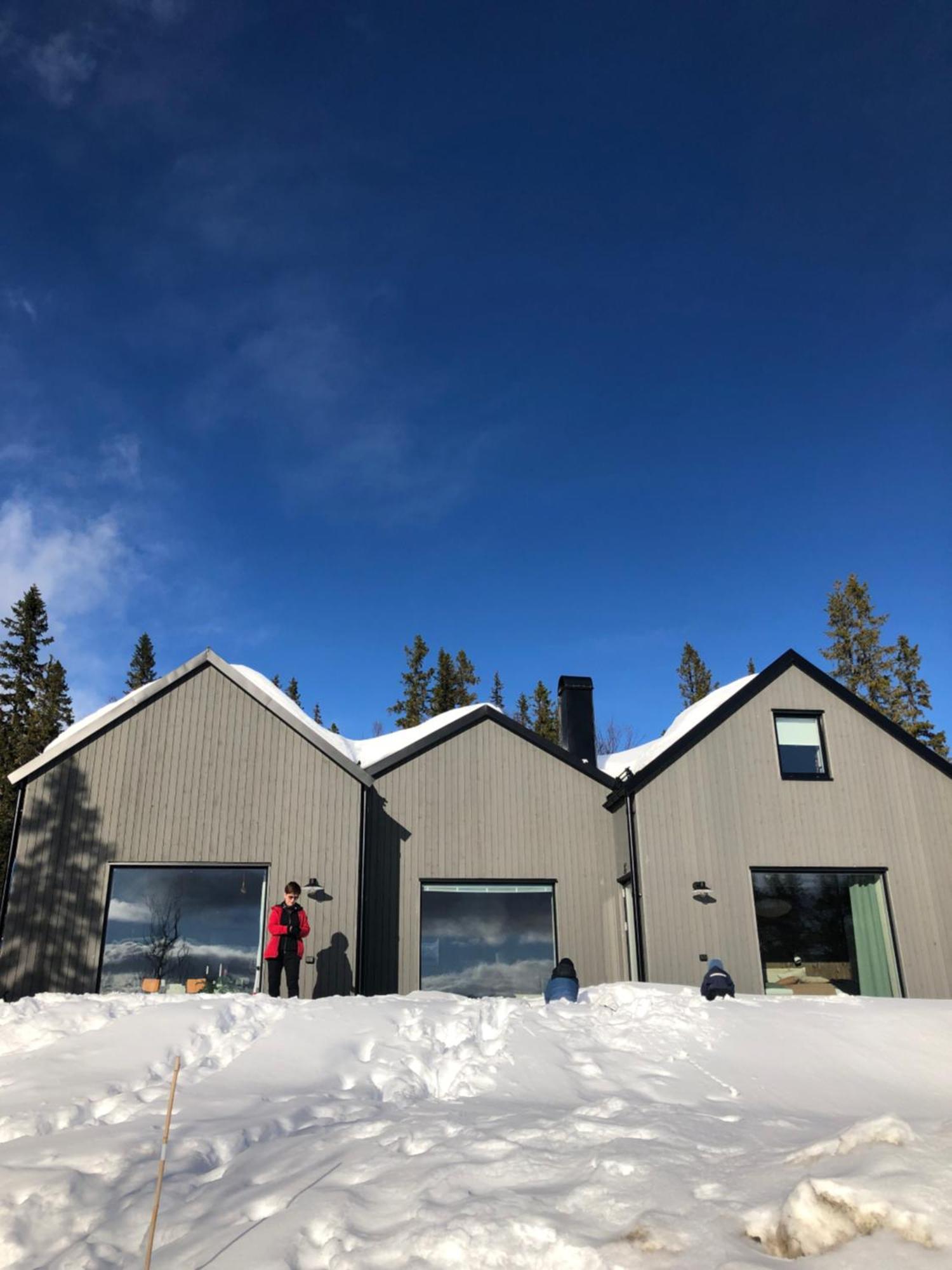 Mountain Holiday Homes - Ottsjoe, Trillevallen -Sweden オーレ エクステリア 写真
