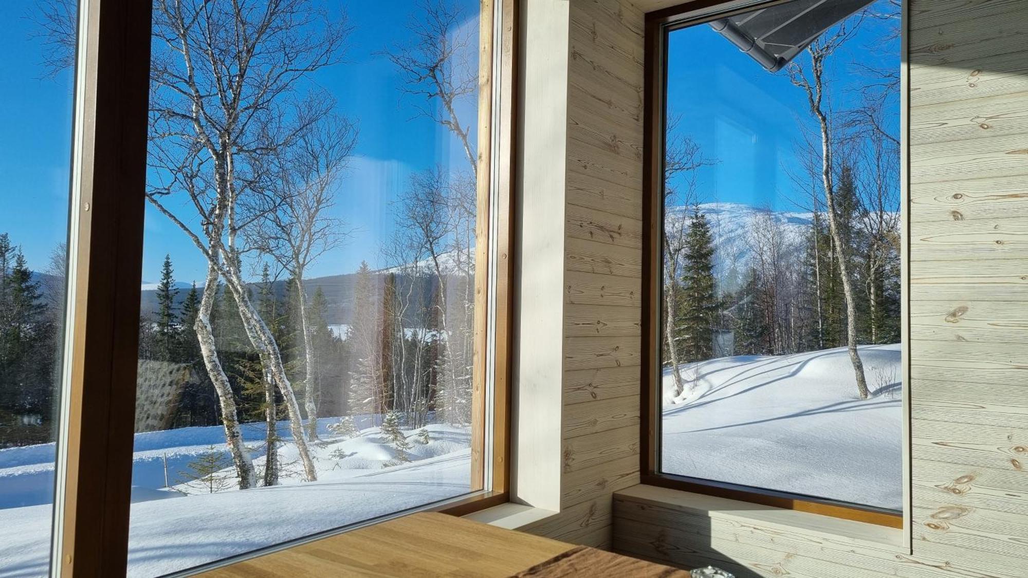 Mountain Holiday Homes - Ottsjoe, Trillevallen -Sweden オーレ 部屋 写真