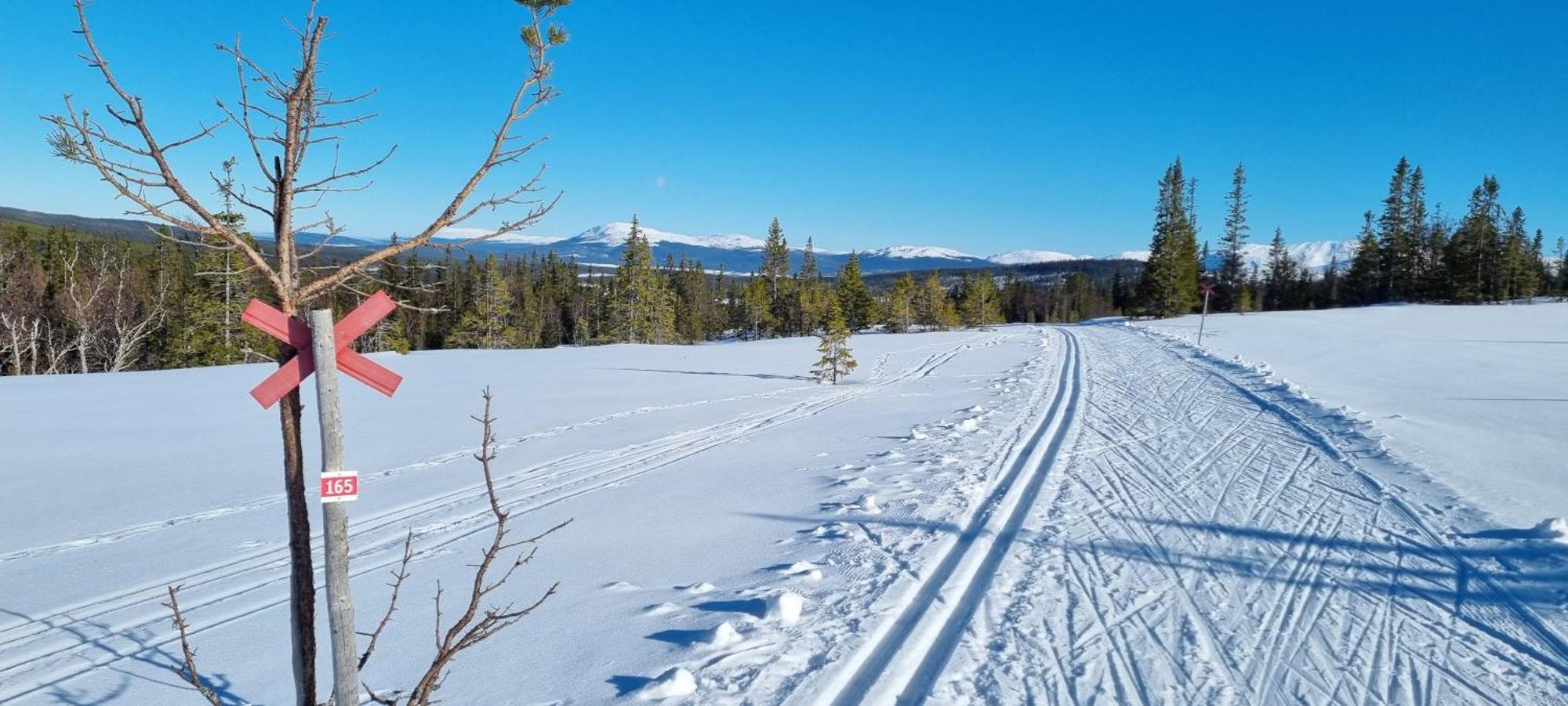 Mountain Holiday Homes - Ottsjoe, Trillevallen -Sweden オーレ エクステリア 写真