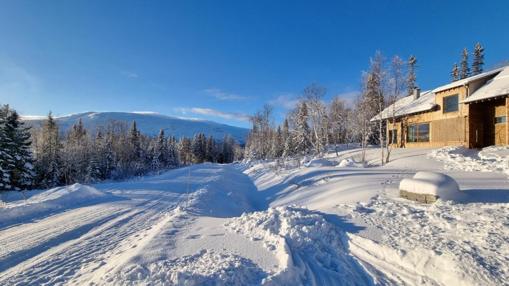 Mountain Holiday Homes - Ottsjoe, Trillevallen -Sweden オーレ 部屋 写真