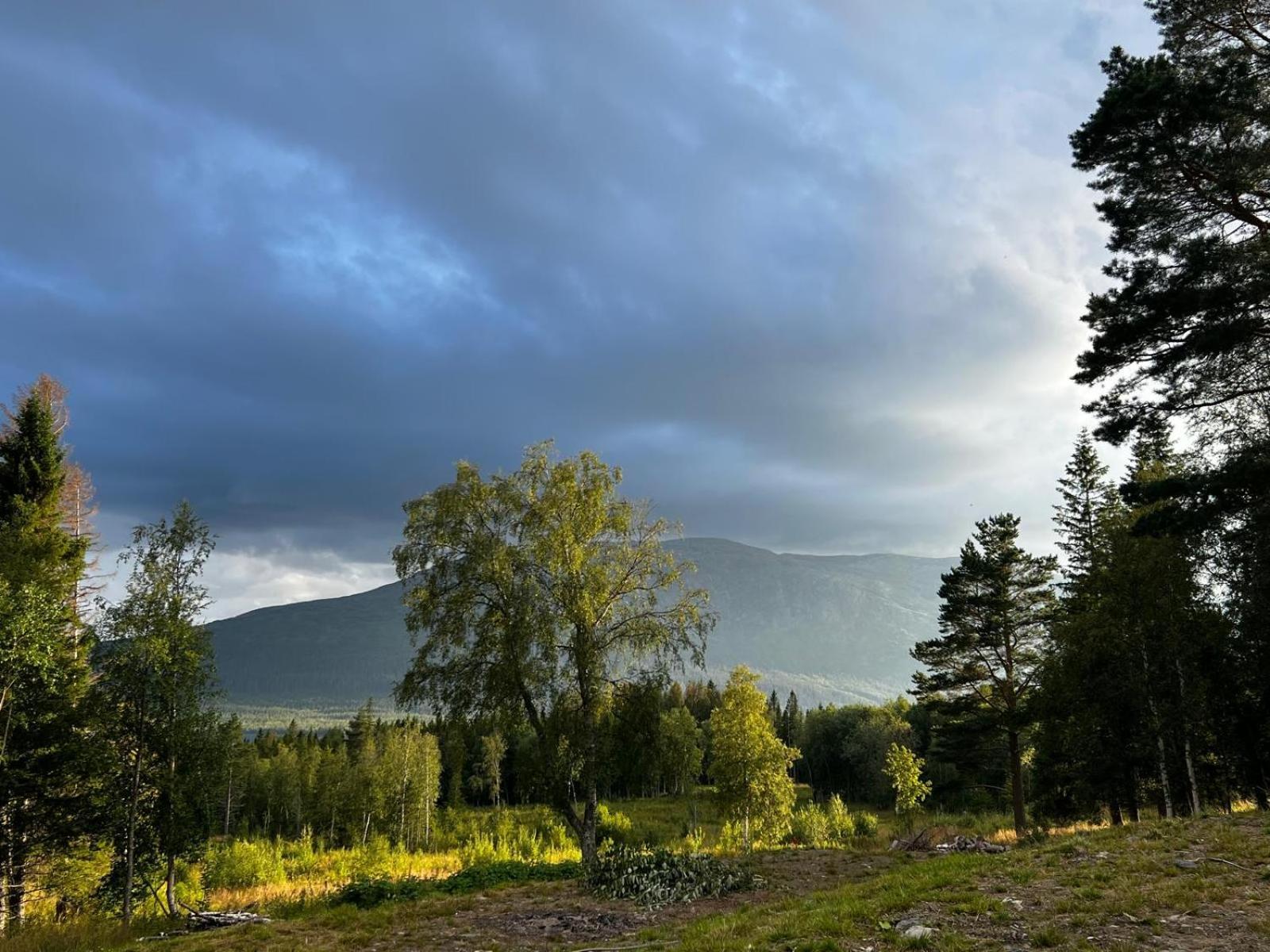 Mountain Holiday Homes - Ottsjoe, Trillevallen -Sweden オーレ 部屋 写真
