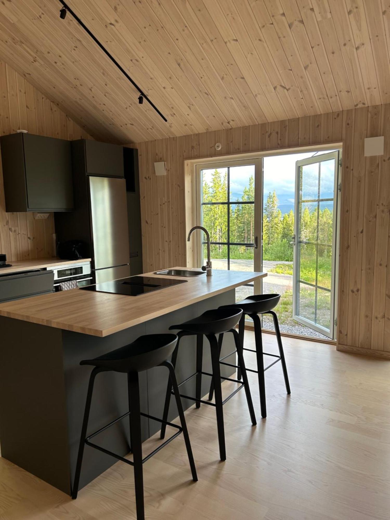 Mountain Holiday Homes - Ottsjoe, Trillevallen -Sweden オーレ エクステリア 写真