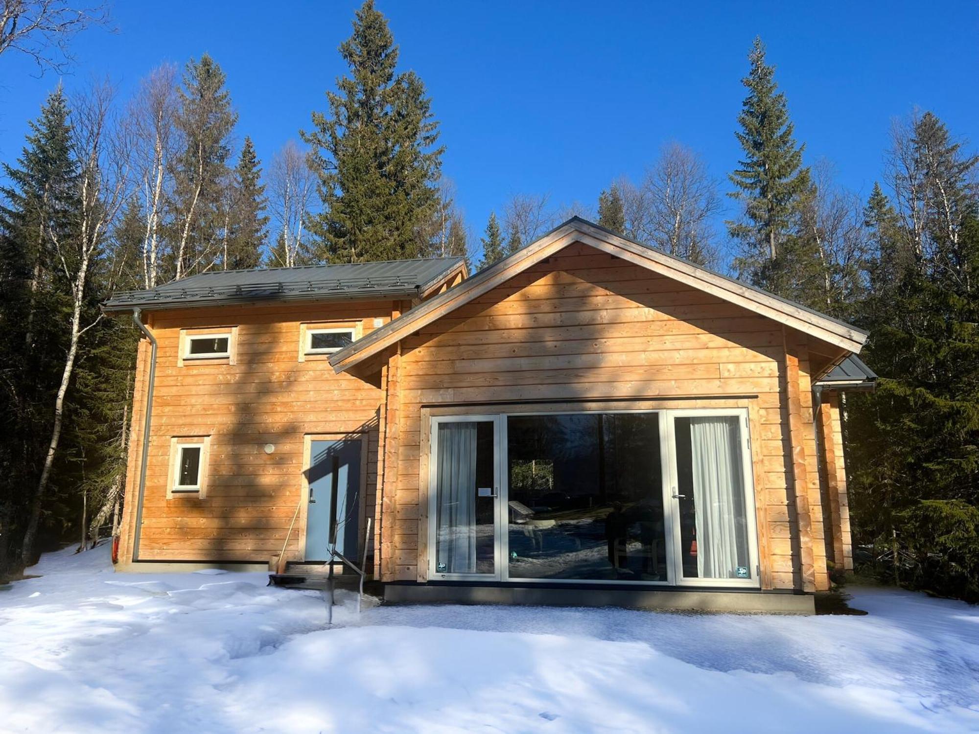 Mountain Holiday Homes - Ottsjoe, Trillevallen -Sweden オーレ エクステリア 写真